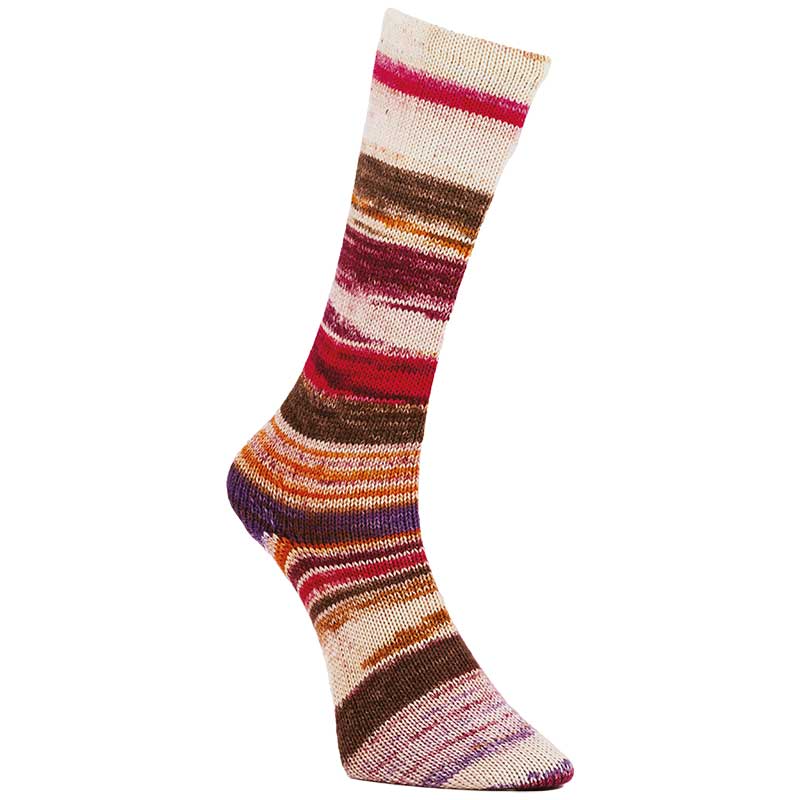 Laines du Nord 6 Ply Optical Socks 6-fach Farbe 05