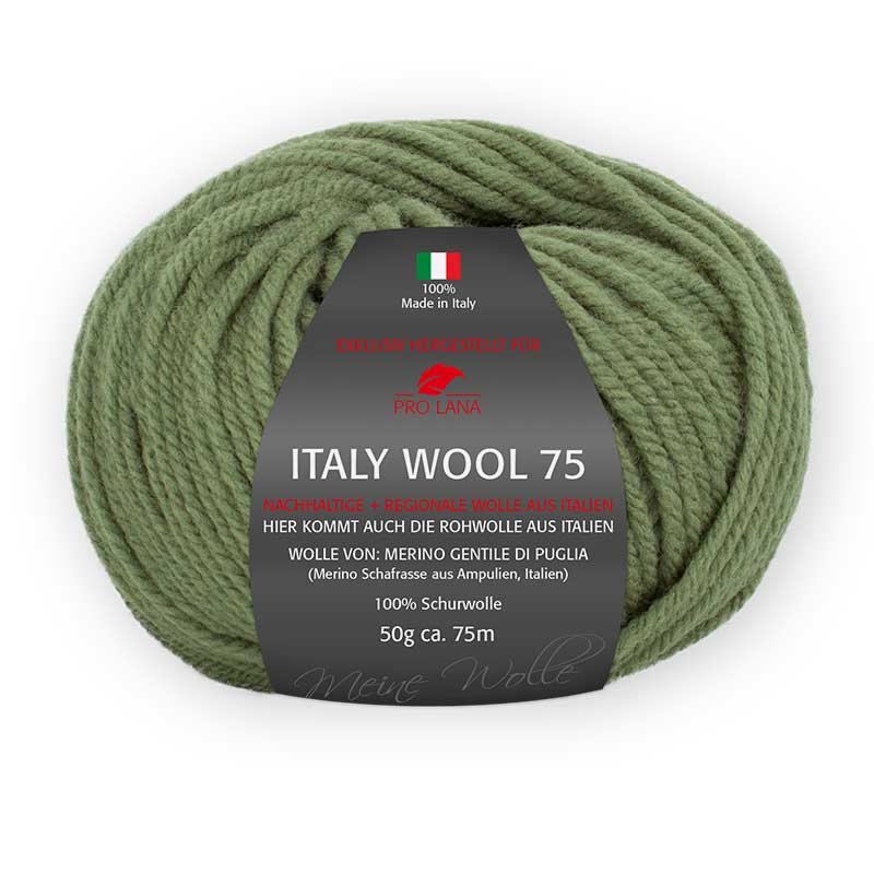 Pro Lana Italy Wool 75 Farbe 271 khaki