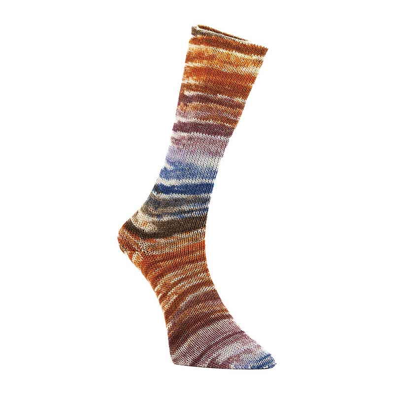 Laines du Nord Sockenwolle Mad Socks Farbe 06
