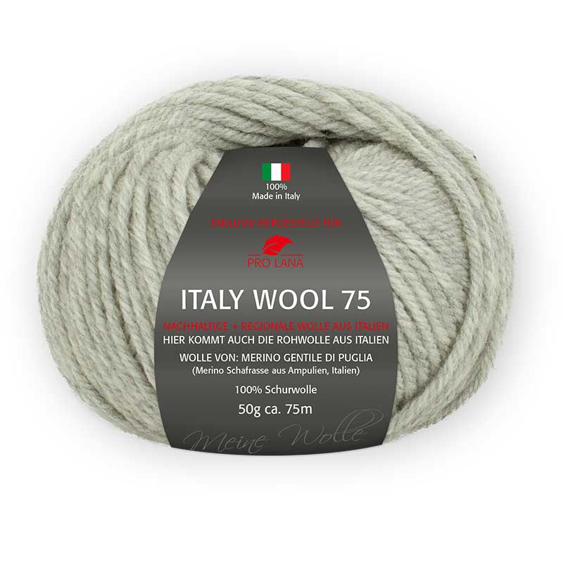 Pro Lana Italy Wool 75 Farbe 291 hellgrau meliert