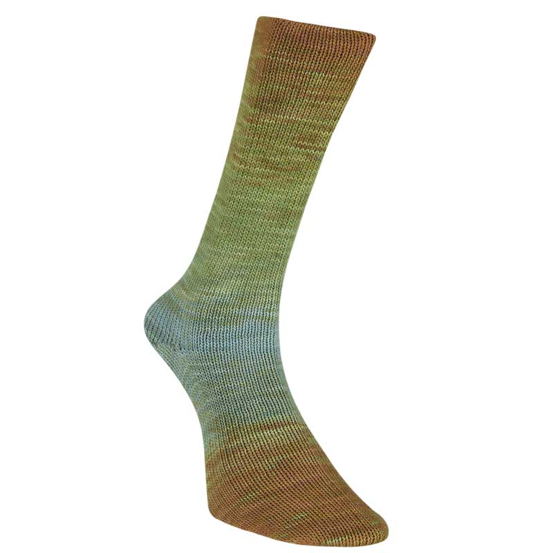 Laines du Nord Sockenwolle Watercolor Sock Farbe  203