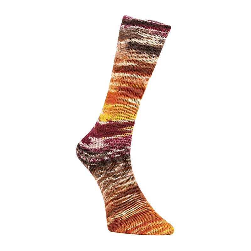 Laines du Nord Sockenwolle Mad Socks Farbe 04