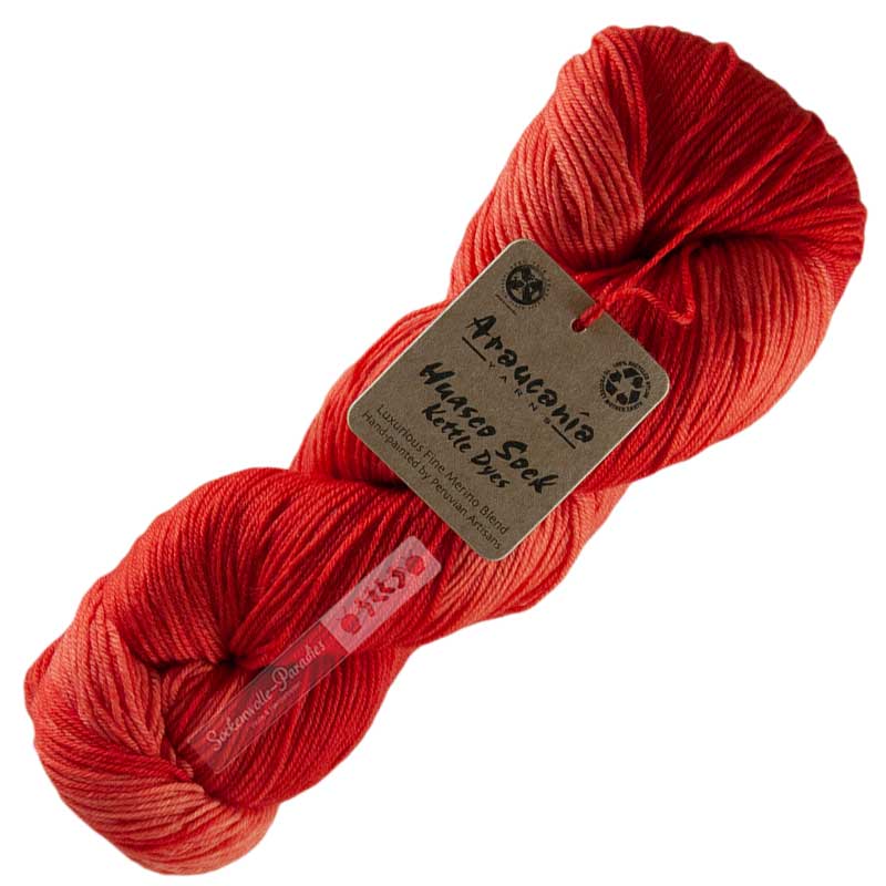 Araucania Huasco Sock Kettle Dyes 1009 scarlet