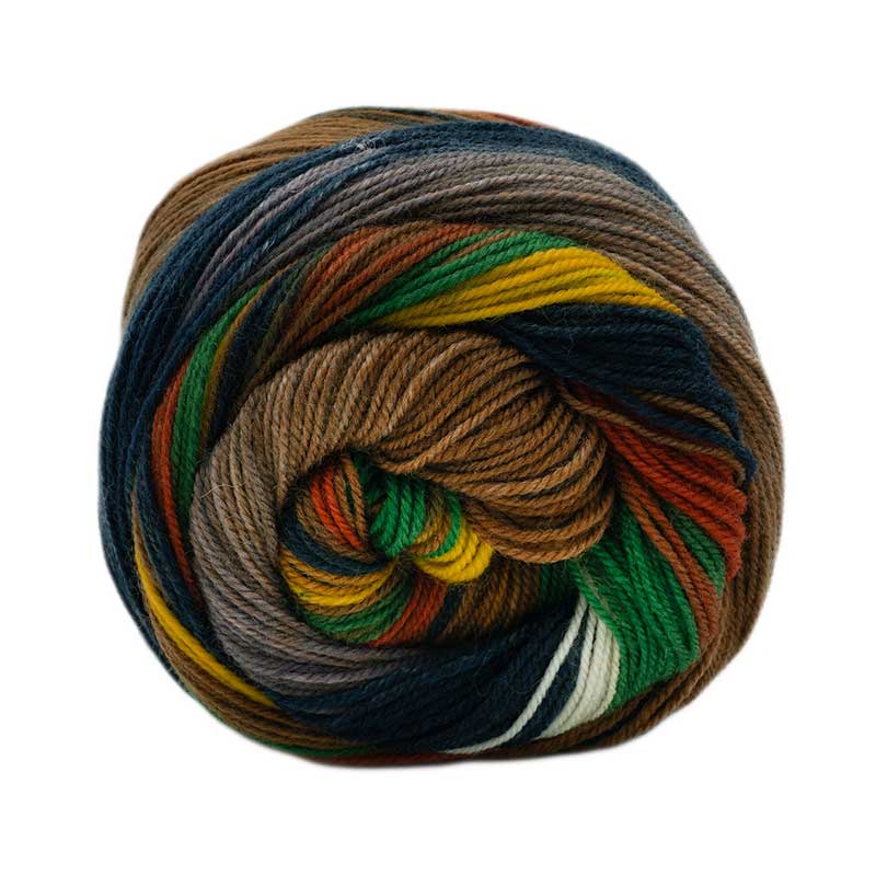 Laines du Nord Sockenwolle Infinity Sock Farbe 23