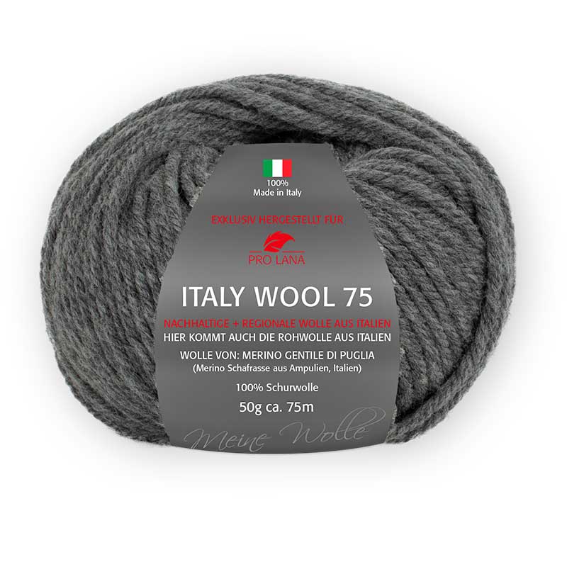 Pro Lana Italy Wool 75 Farbe 295 dunkelgrau meliert