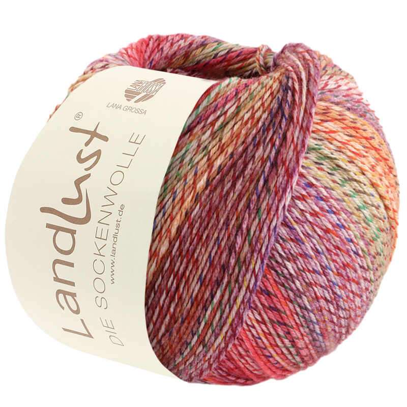 Lana Grossa Landlust die Sockenwolle Farbe 211