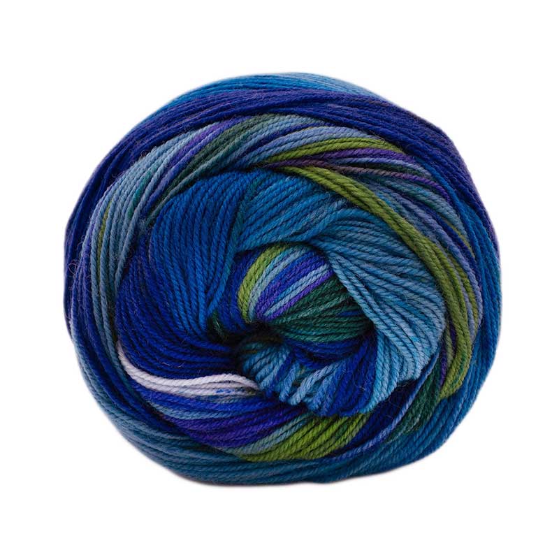 Laines du Nord Sockenwolle Infinity Sock Farbe 21