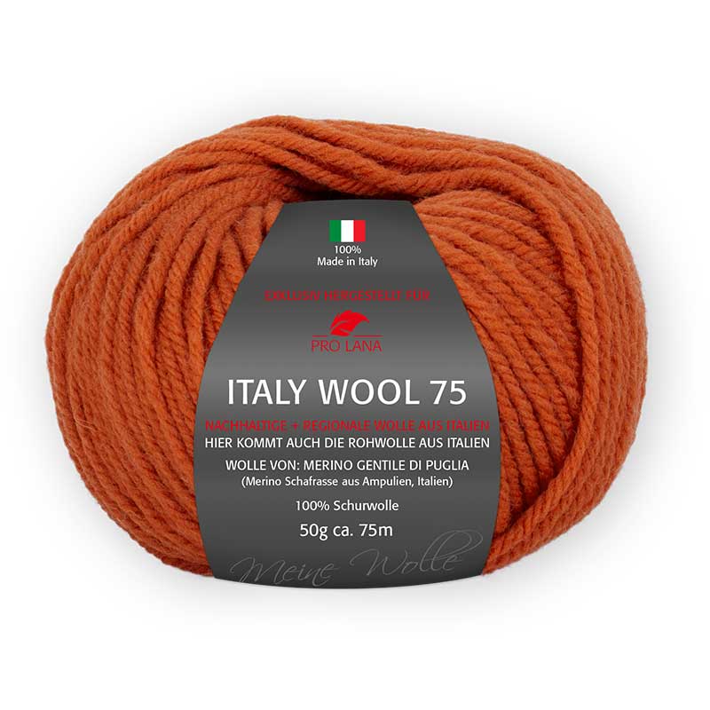 Pro Lana Italy Wool 75 Farbe 227 orange