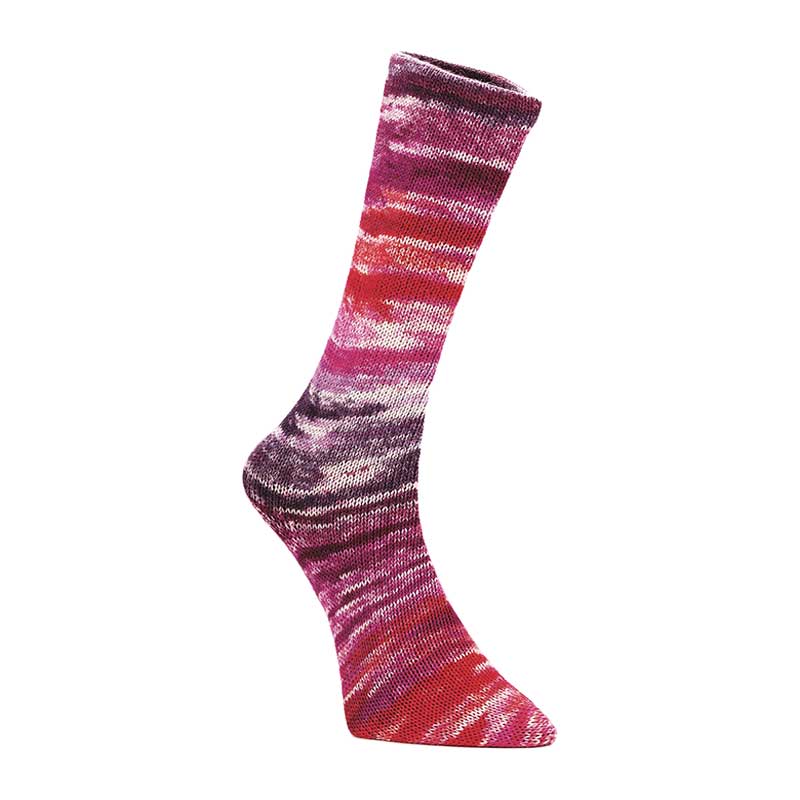 Laines du Nord Sockenwolle Mad Socks Farbe 02