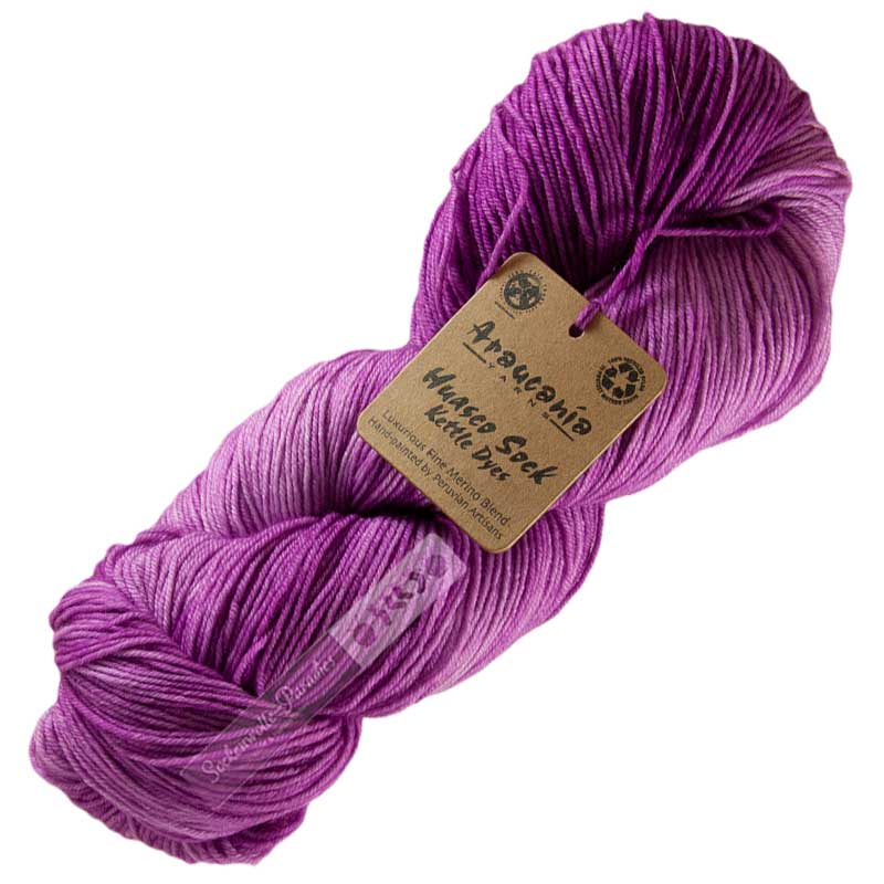 Araucania Huasco Sock Kettle Dyes 1021 Jam