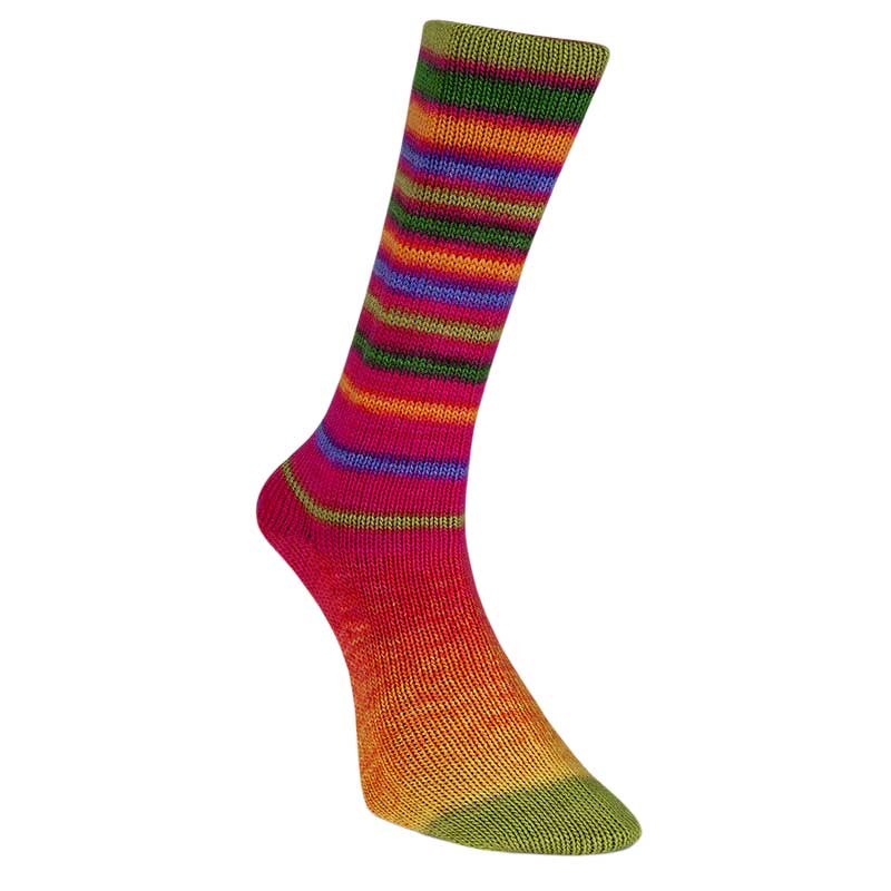 Laines du Nord Sockenwolle Infinity Sock Farbe 12