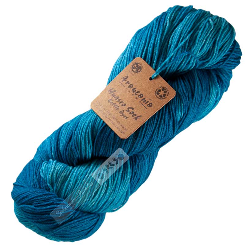 Araucania Huasco Sock Kettle Dyes 1019 Caribbean