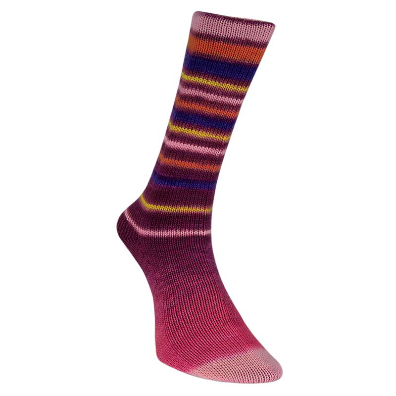 Laines du Nord Sockenwolle Infinity Sock Farbe 14