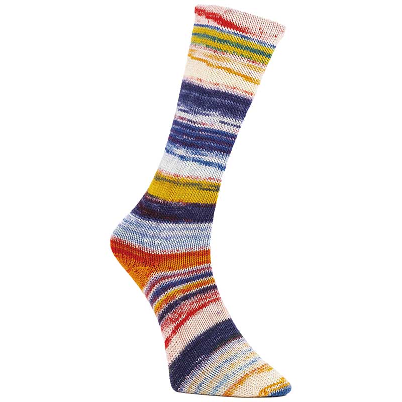 Laines du Nord 6 Ply Optical Socks 6-fach Farbe 06