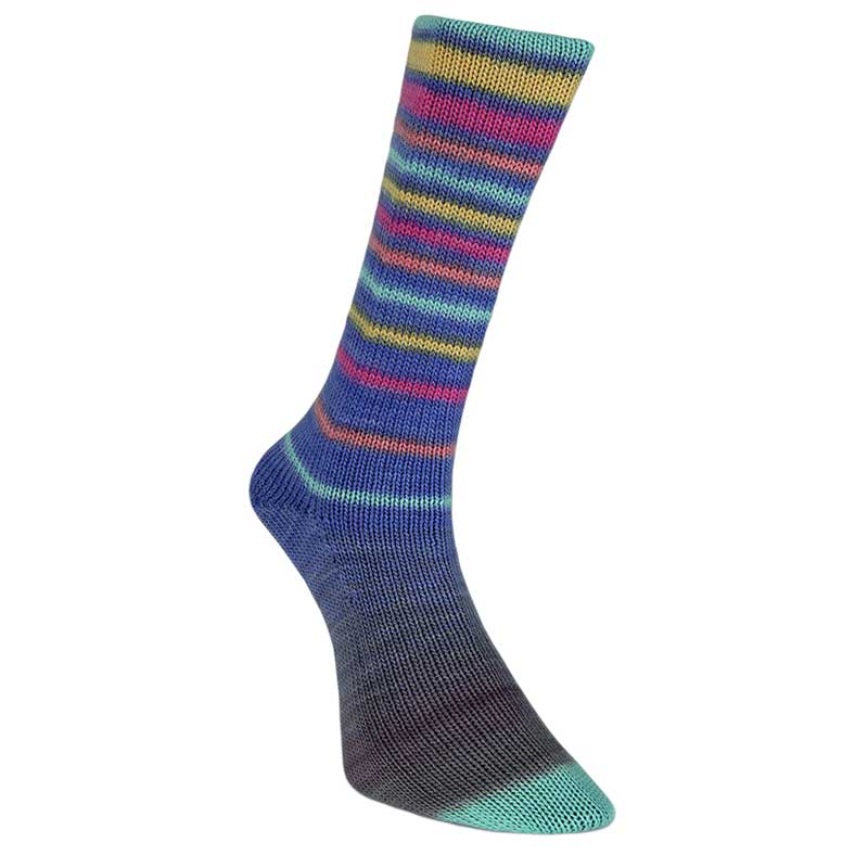 Laines du Nord Sockenwolle Infinity Sock Farbe 10 