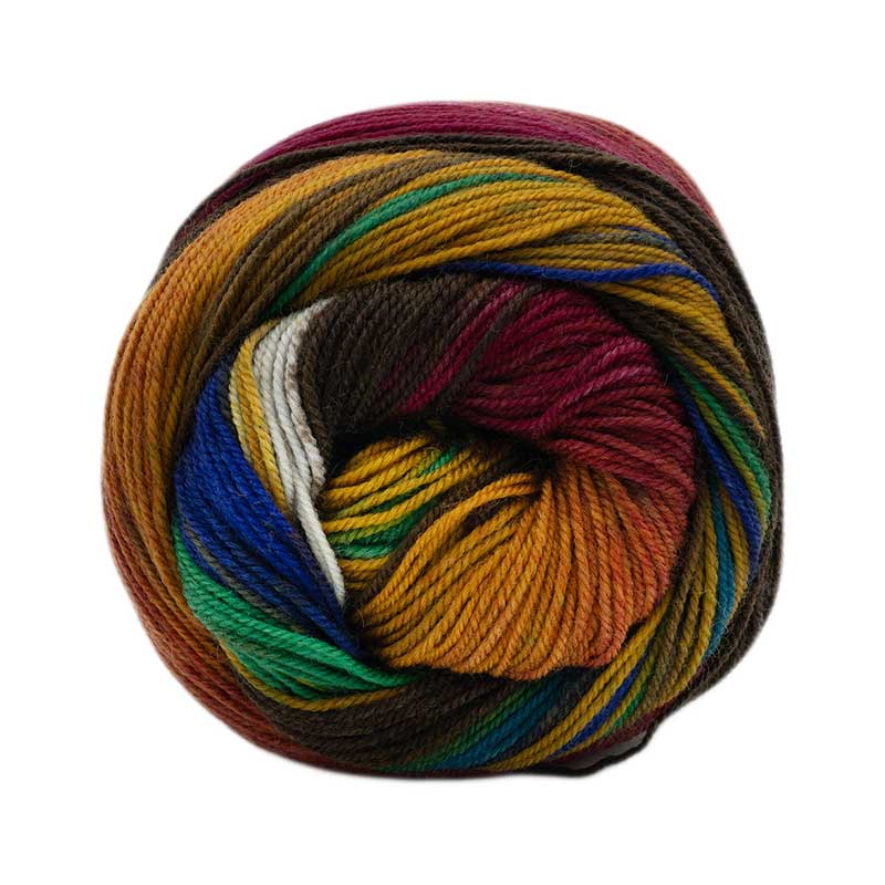 Laines du Nord Sockenwolle Infinity Sock Farbe 20
