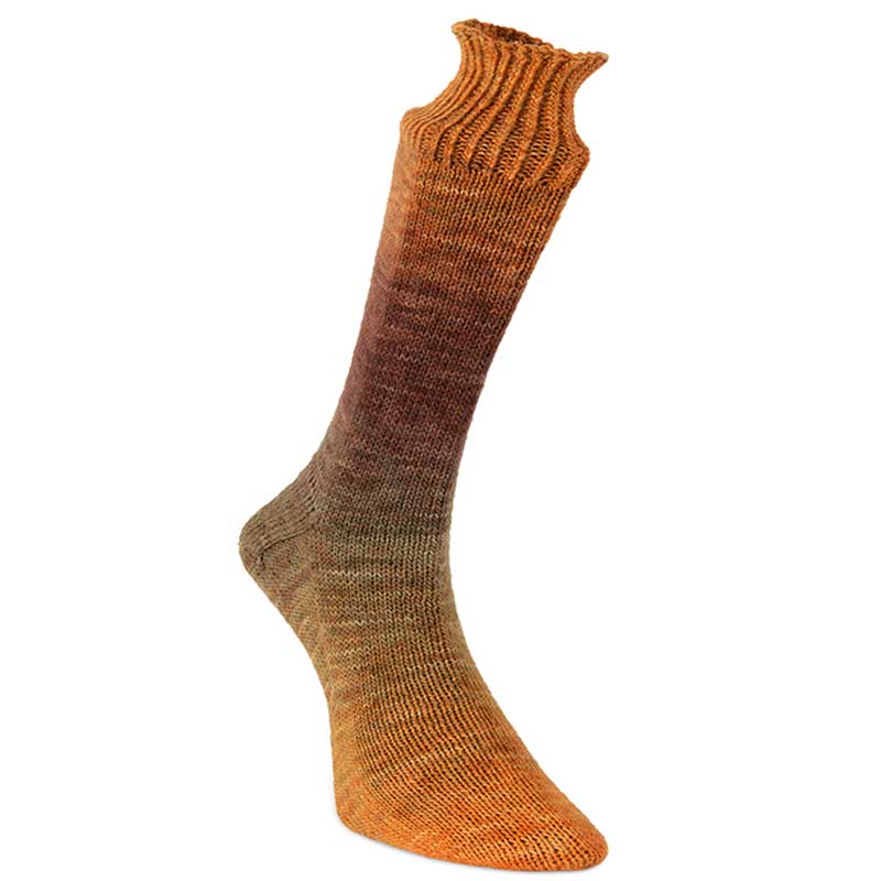 Laines du Nord Sockenwolle Watercolor Sock Farbe 103