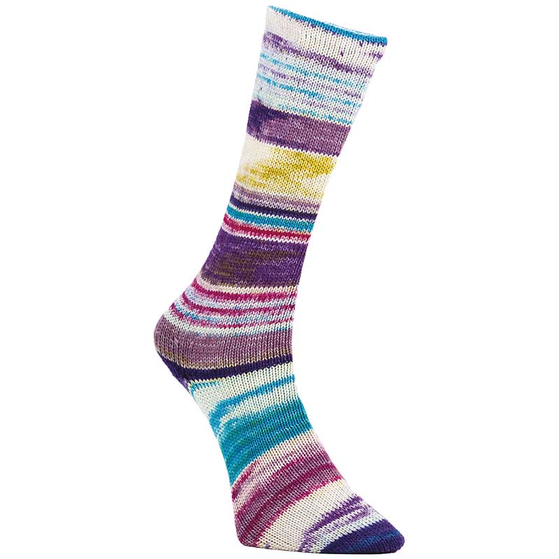 Laines du Nord 6 Ply Optical Socks 6-fach Farbe 04