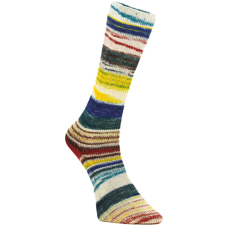 Laines du Nord 6 Ply Optical Socks 6-fach Farbe 01