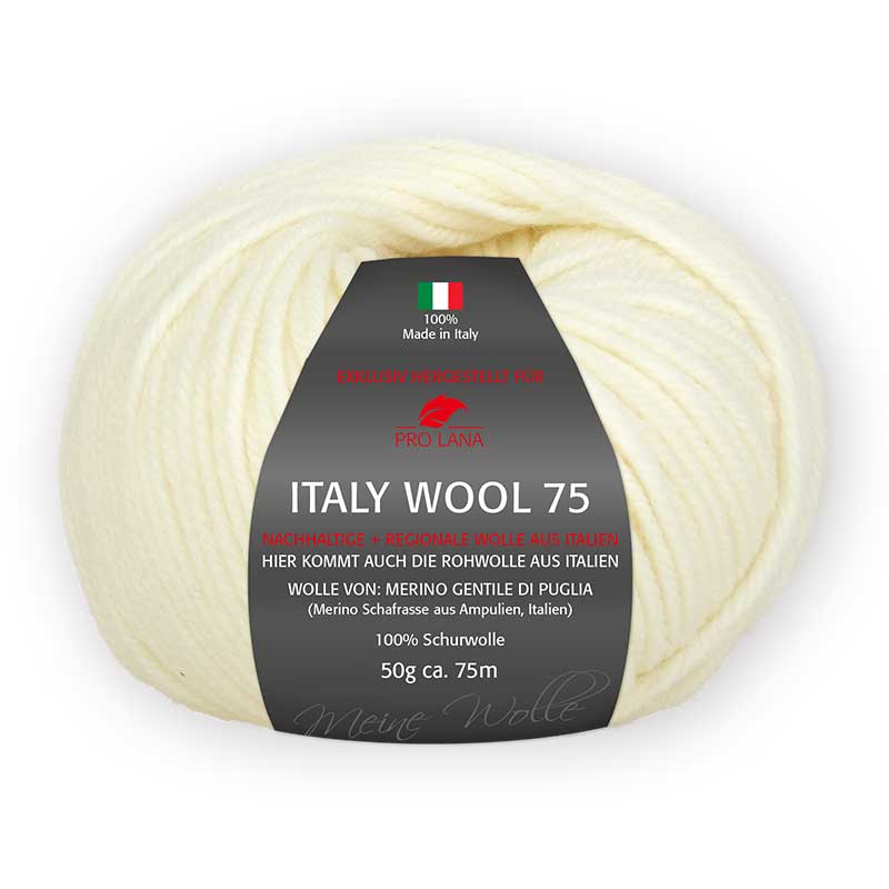 Pro Lana Italy Wool 75 Farbe 201 weiss