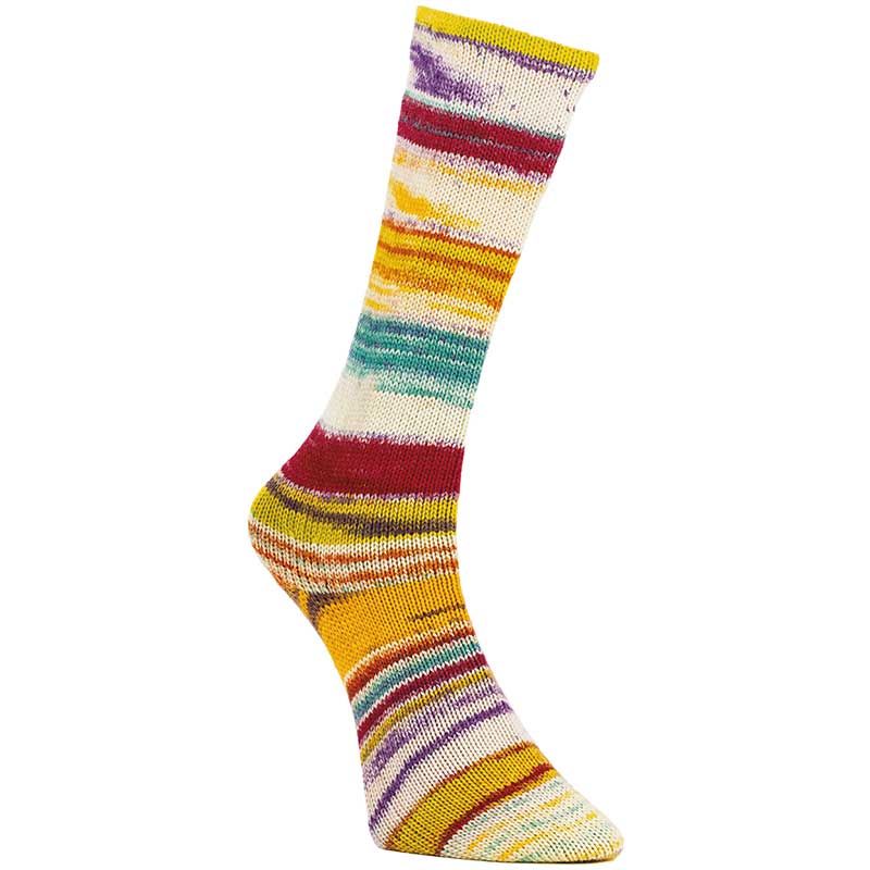 Laines du Nord 6 Ply Optical Socks 6-fach Farbe 02