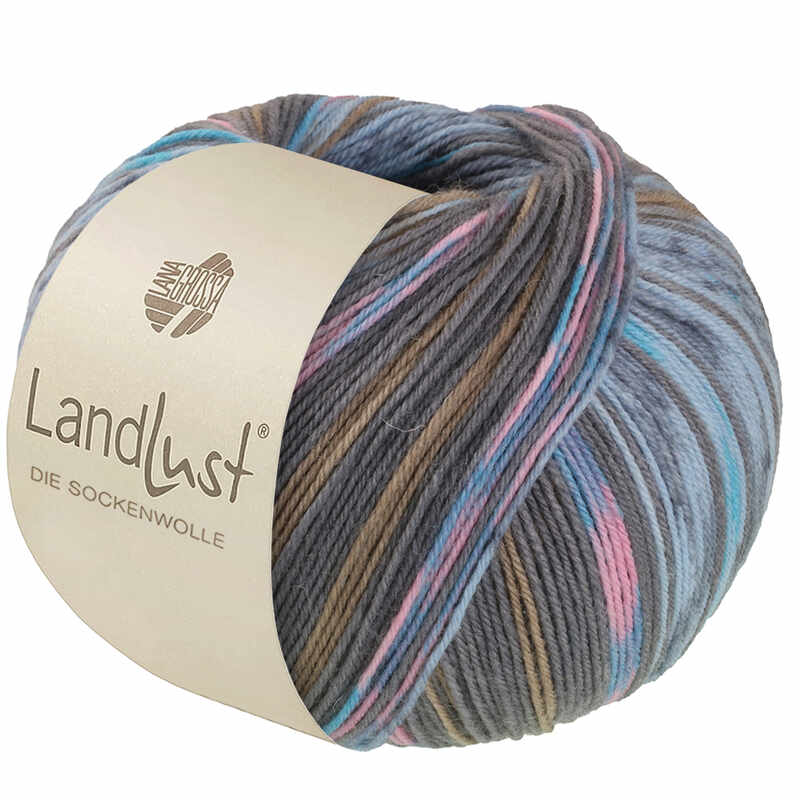 Lana Grossa Landlust die Sockenwolle Farbe 616